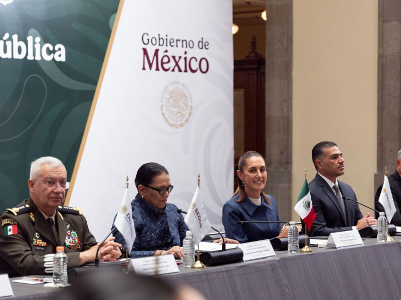 Seguridad en México: Homicidios dolosos bajaron al 25 %